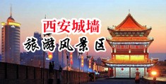 猛男强奸处女校花中国陕西-西安城墙旅游风景区